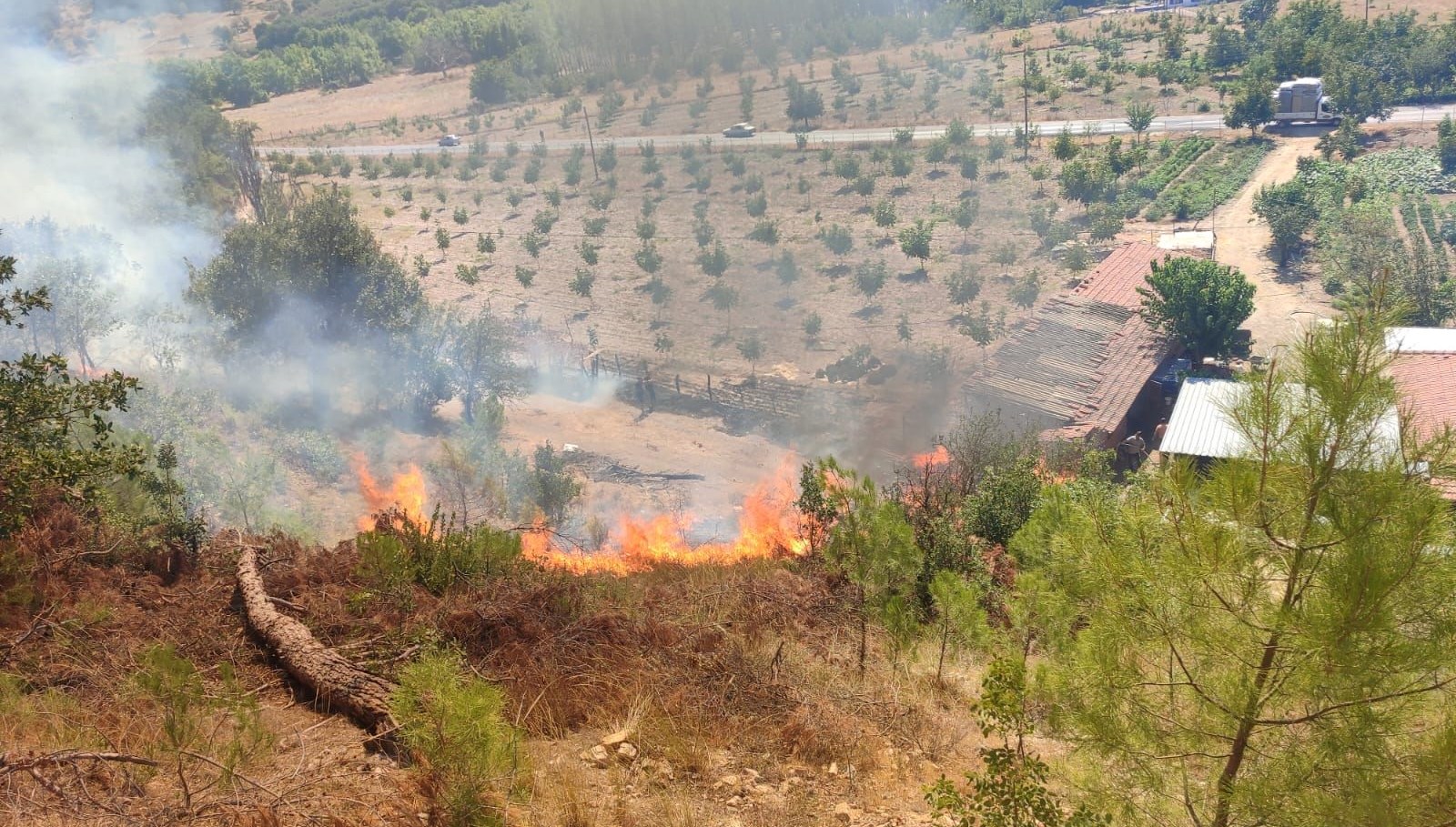 Sındırgı’da orman yangını