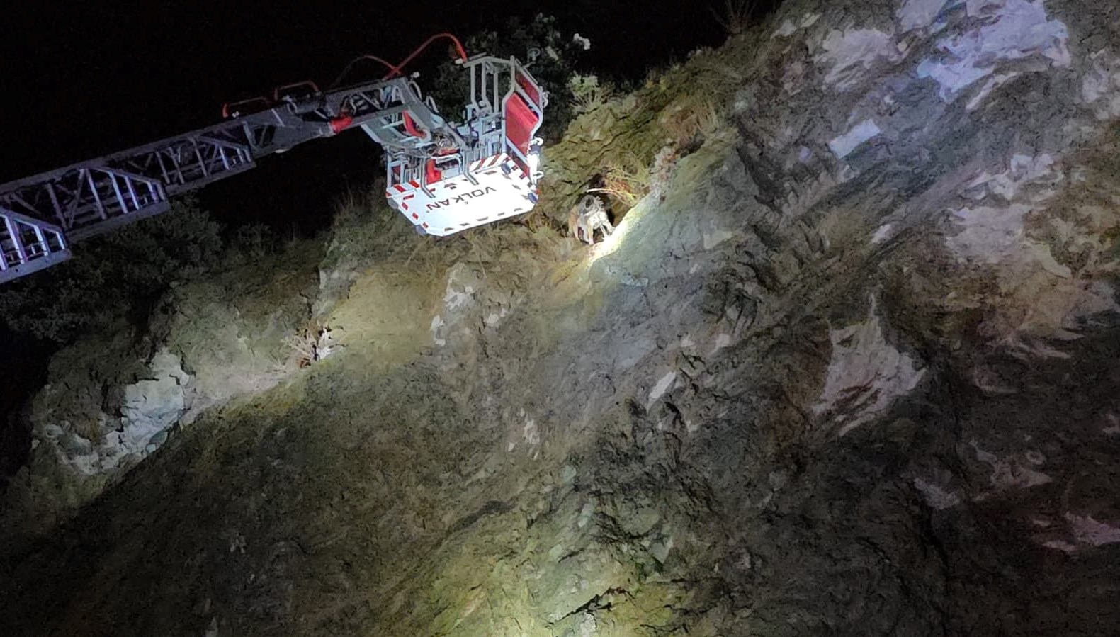 ucurumun ortasinda mahsur kalan kopege itfaiye yetisti DFdfgTRL.jpg