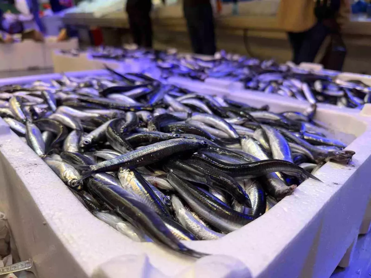 Erzincan’da Balık Sezonu Açıldı