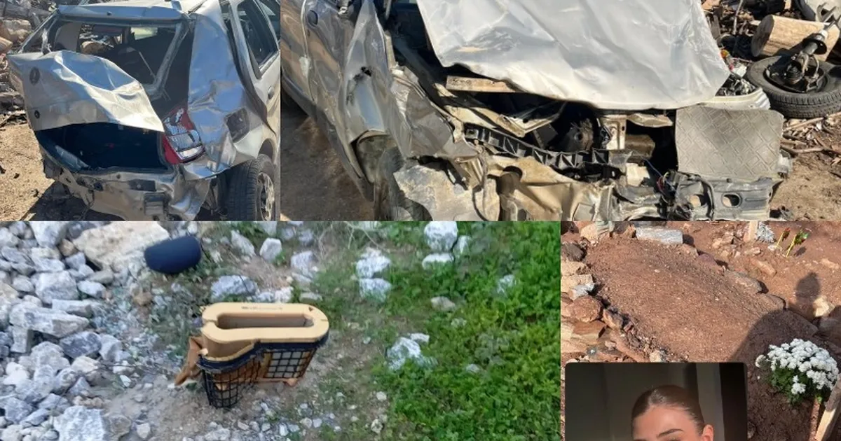 Hayali uçak mühendisi olmaktı, 17 yaşında hayatını kaybetti! Sürücü serbest!