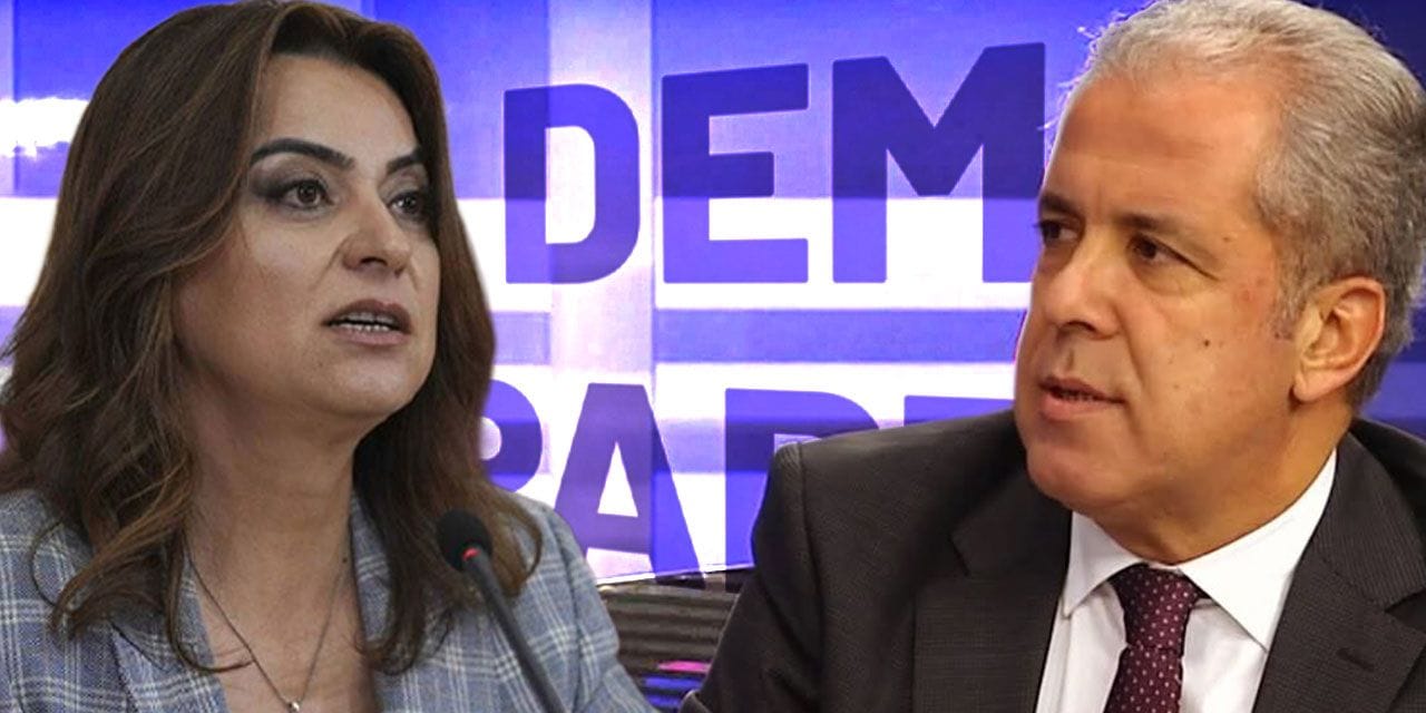 AKP’li Şamil Tayyar “Fazla kaşımayın” diyerek DEM’i uyardı: Sümen altı ettiğim notları yazsam…