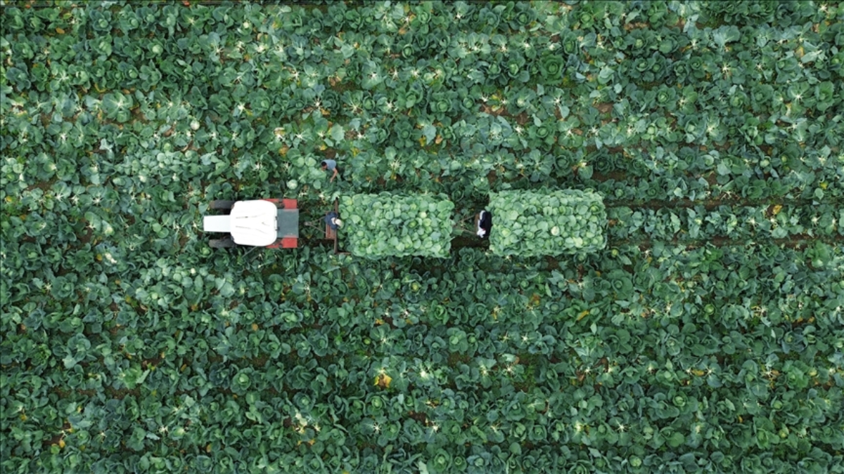 Çiftçi Kayıt Sistemi’ne başvurmak için son tarih 31 Aralık