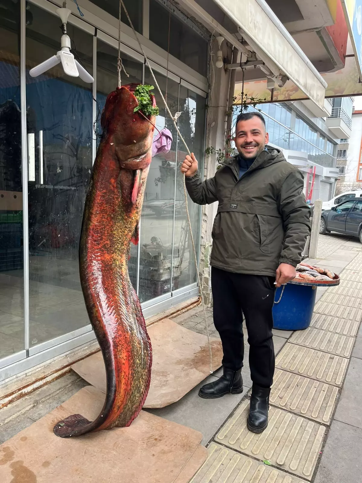 Nallıhan’da Dev Yayın Balığı Çıktı