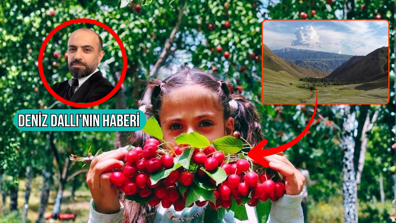 Özbekistan’ın Fergana Vadisi’nde ilk kez, Türkiye’den ihraç edilen şeftali, kiraz, kayısı ve eriğin hasadı yapıldı Haber gorseli